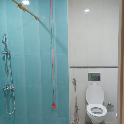 2013C Emergency Shower Pull Cord in Toilet Area